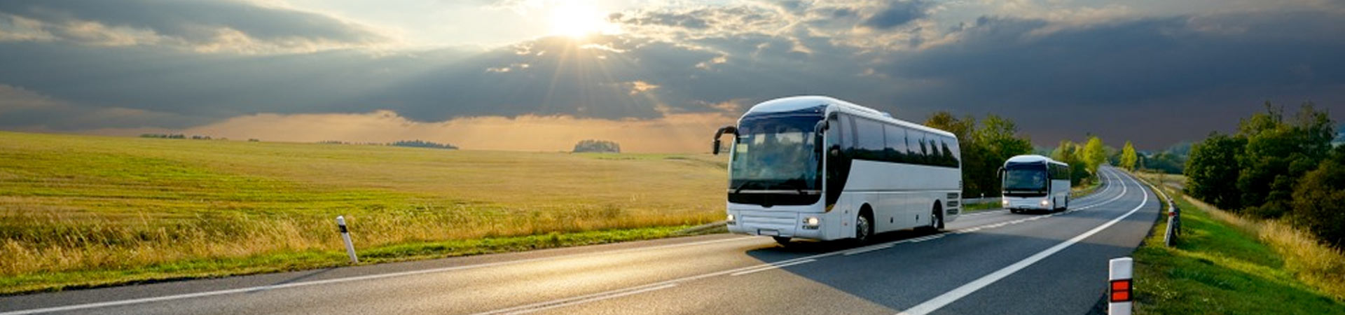 Busreisen